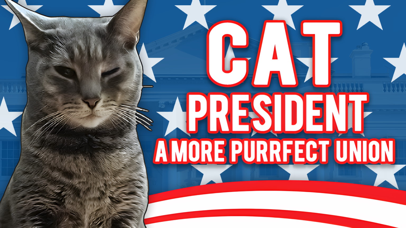 Cat President: A More Purrfect Union