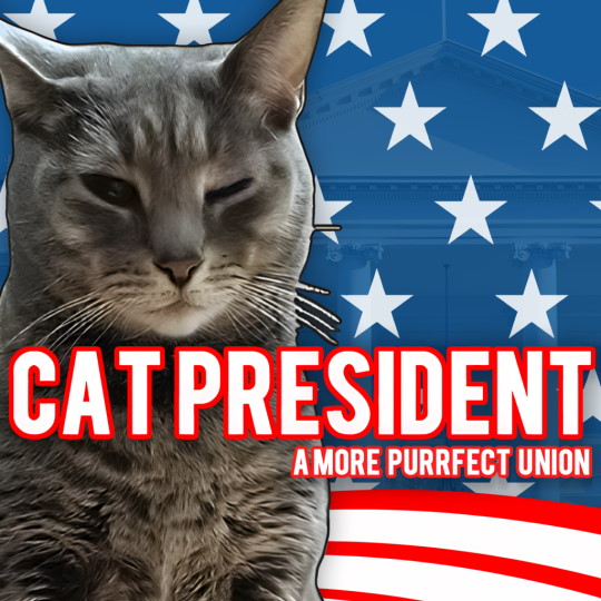 Cat President: A More Purrfect Union