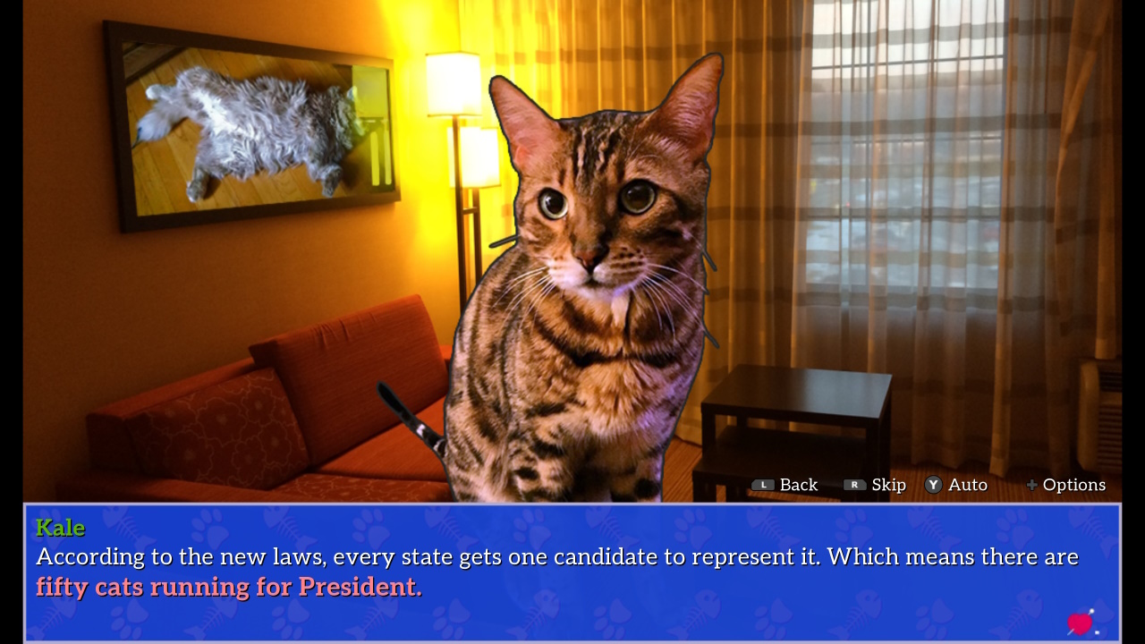 Cat President Screenshot 1