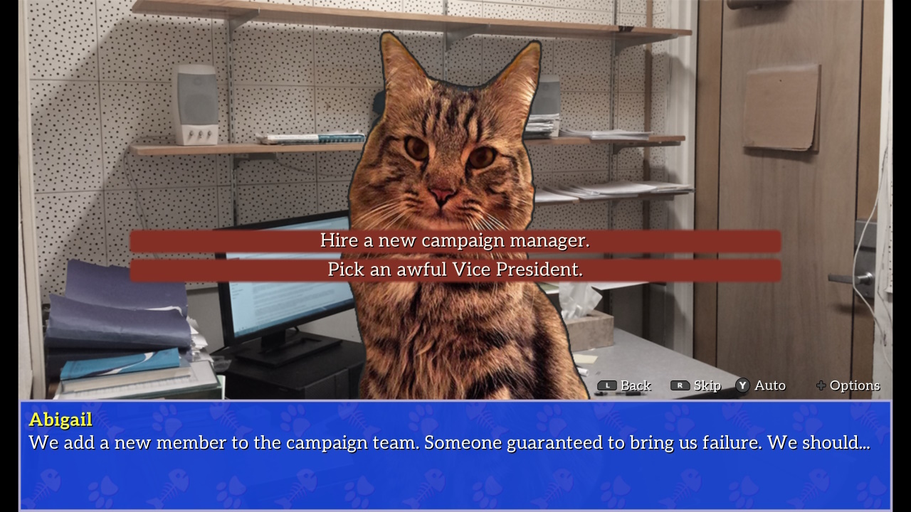 Cat President Screenshot 4