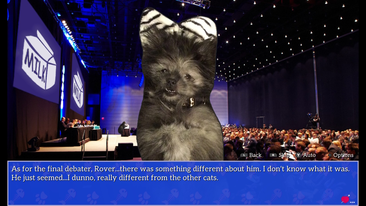 Cat President Screenshot 5